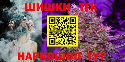 индика Ливны