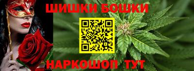 индика Ливны