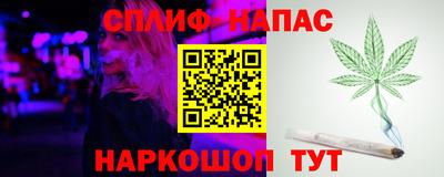 индика Ливны